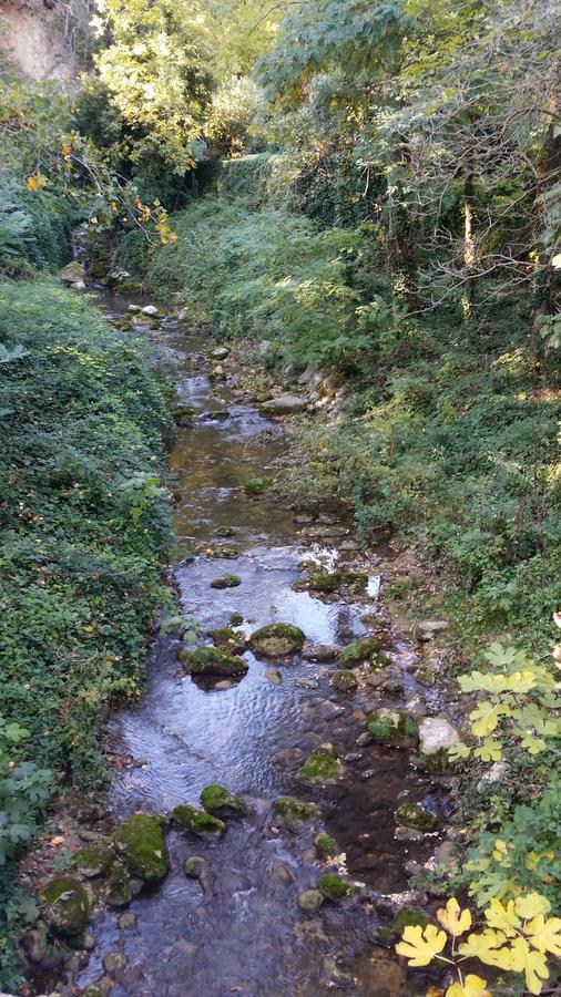 Moulin Des Eaux Vives Hotel Grasse Esterno foto